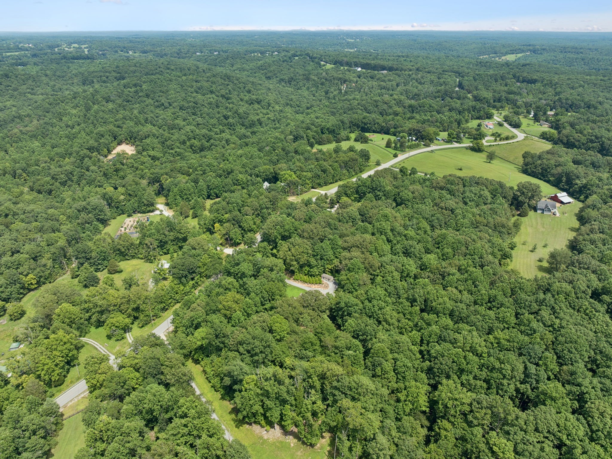 7903 Daugherty-Capley Road Primm Springs, TN 38476 - Photo 78 of 92 a view of a lush green forest with trees and some houses