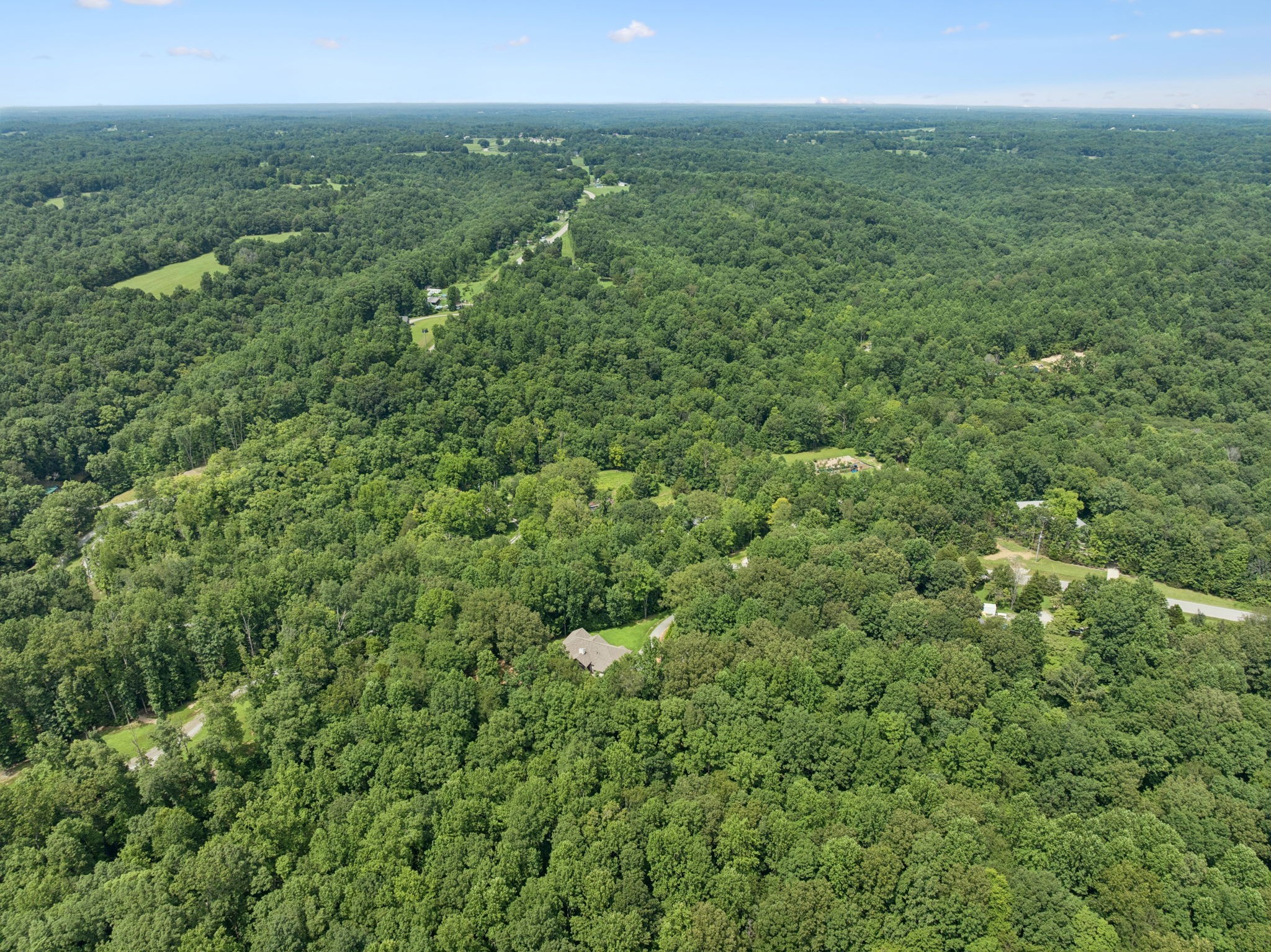 7903 Daugherty-Capley Road Primm Springs, TN 38476 - Photo 81 of 92 a view of a green field with lots of bushes