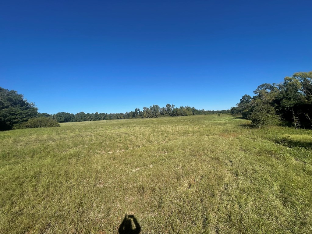 0 Hill-Ricks Road Eufaula, AL 36027 - Photo 3 of 9