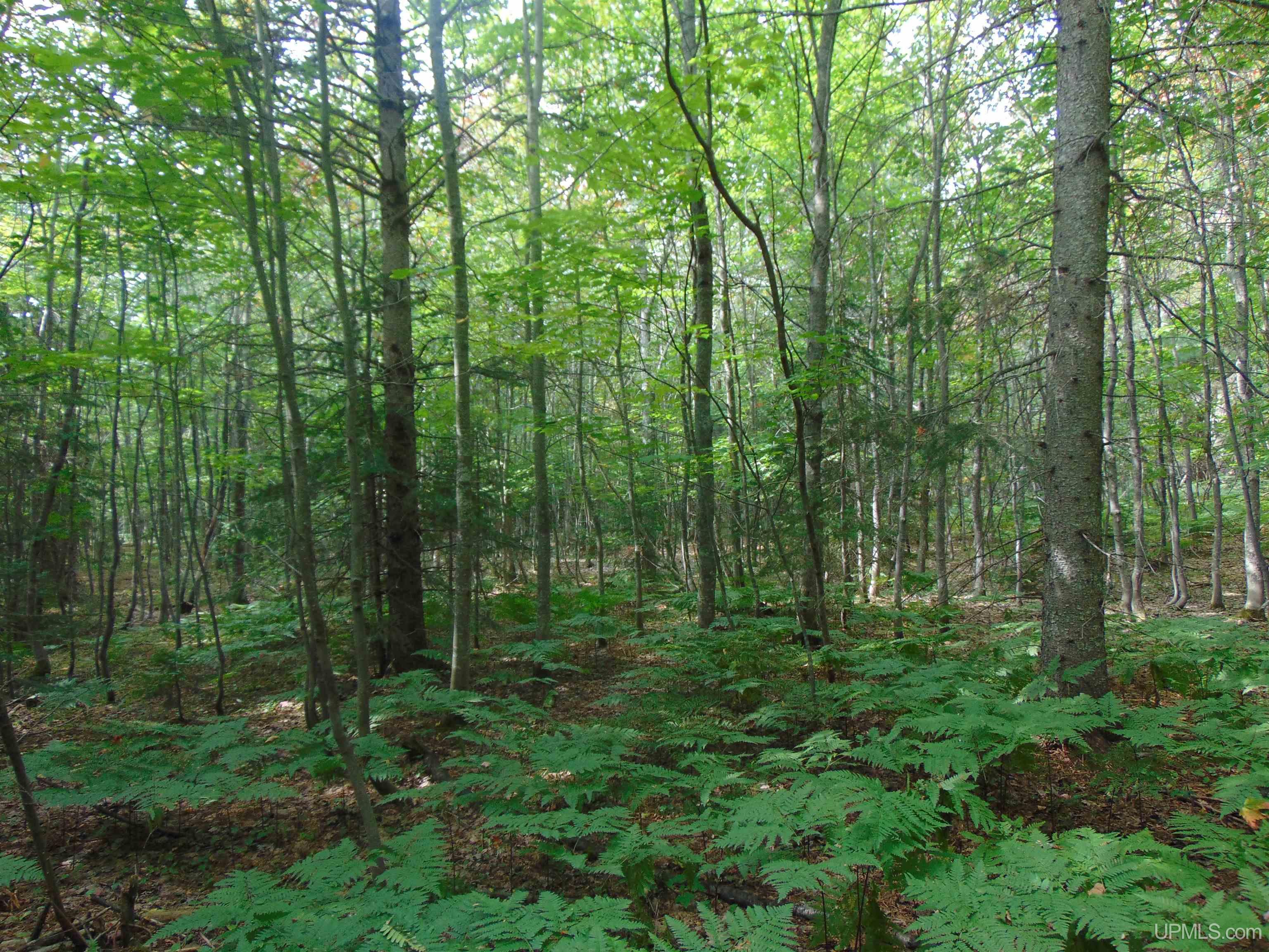 15 Coles Creek Road Atlantic Mine, MI 49905 - Photo 4 of 31
