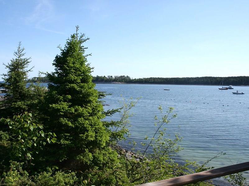 7 Barnacles Way Mount Desert, ME 04662 - Photo 5 of 24 Spring view to Great Harbor and...