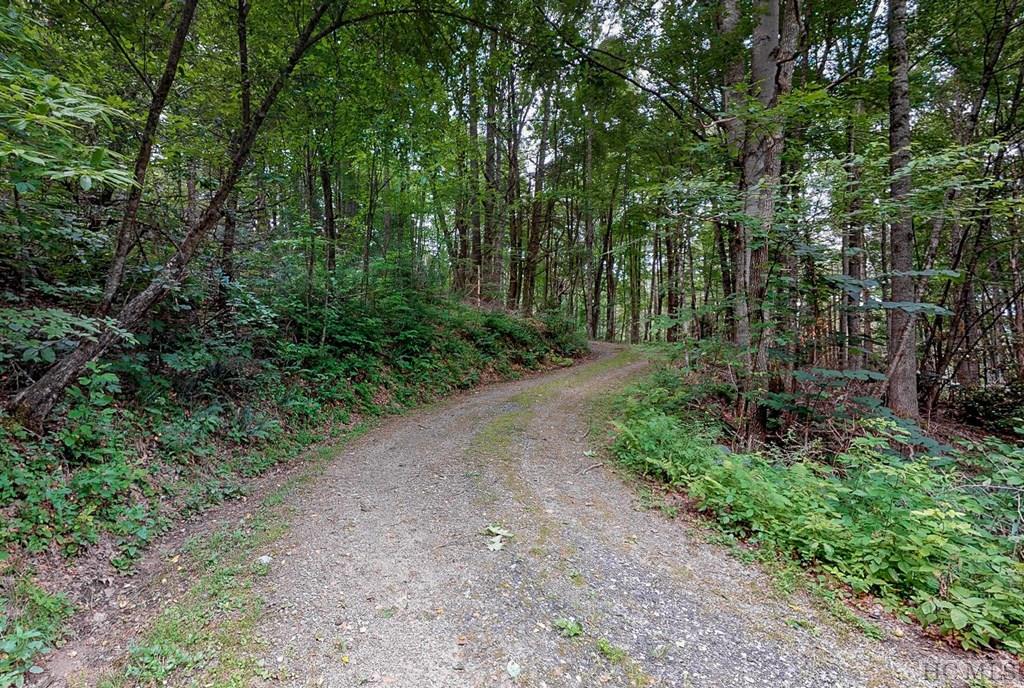 117 Cold Mountain Road Highlands, NC 28741 - Photo 4 of 15 Gallery Image 4