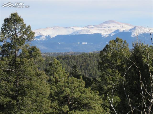 325 Valley Road Florissant, CO 80816 - Photo 2 of 17