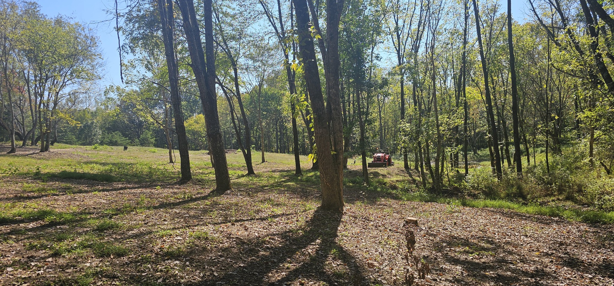 0 Poplar Ridge Lane Chapmansboro, TN 37035 - Photo 3 of 4