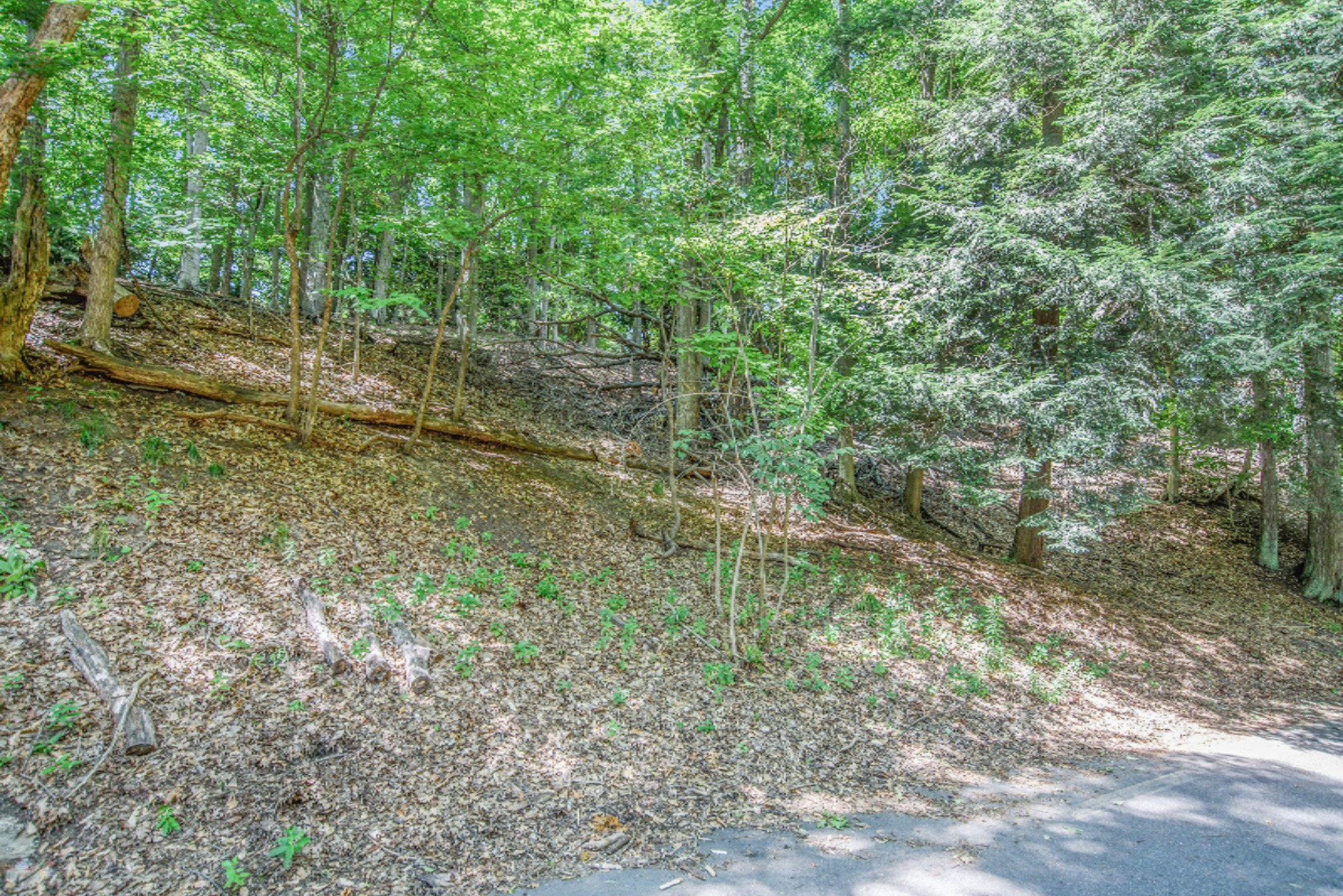 15054 Stickney Ridge Road Grand Haven, MI 49417 - Photo 16 of 47 DSC_3374