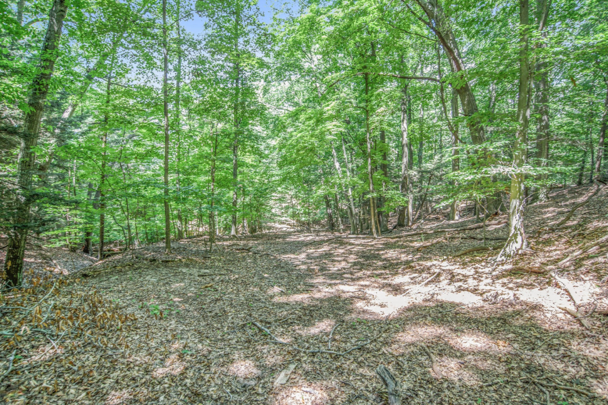 15054 Stickney Ridge Road Grand Haven, MI 49417 - Photo 17 of 47 DSC_3376