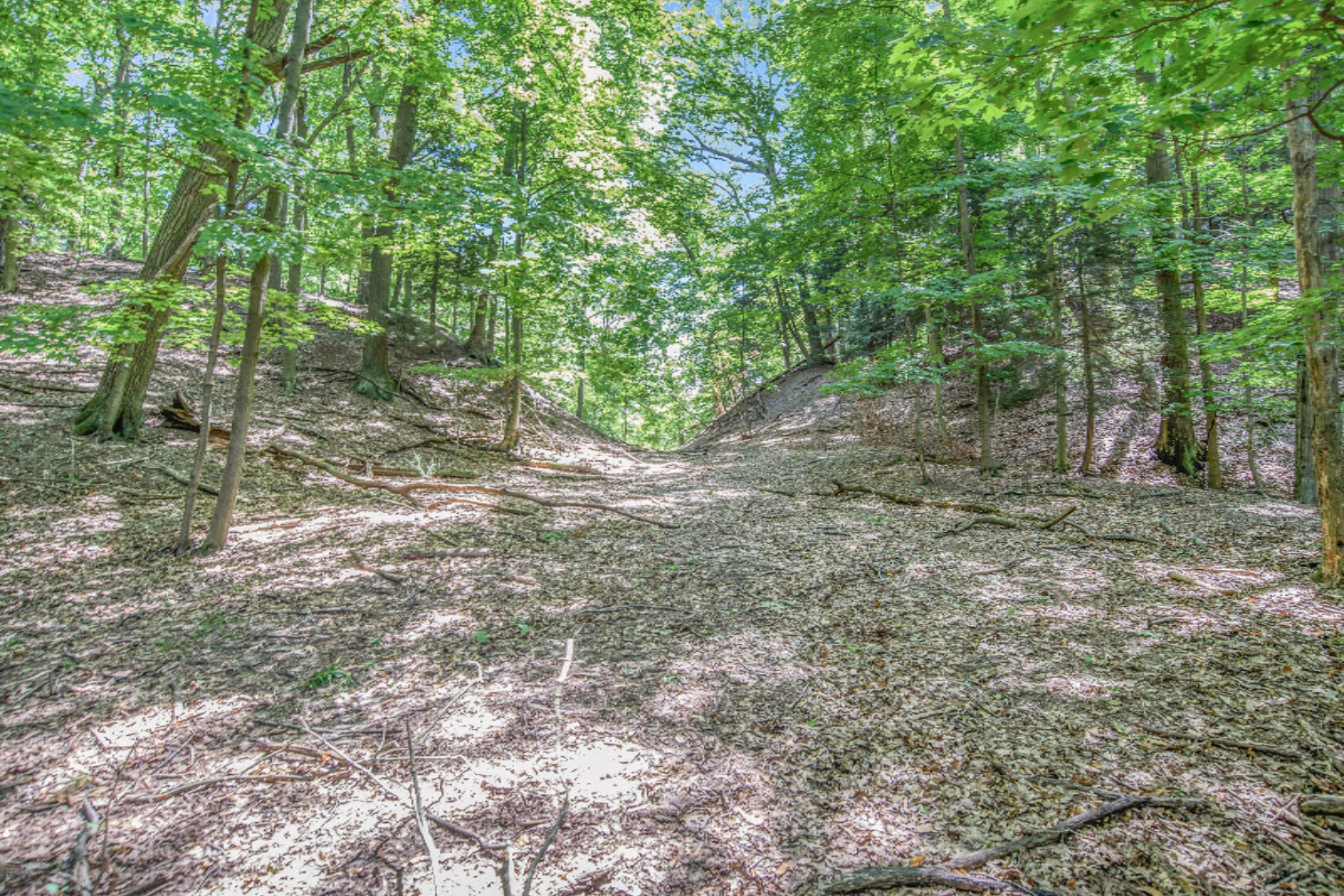 15054 Stickney Ridge Road Grand Haven, MI 49417 - Photo 18 of 47 DSC_3377
