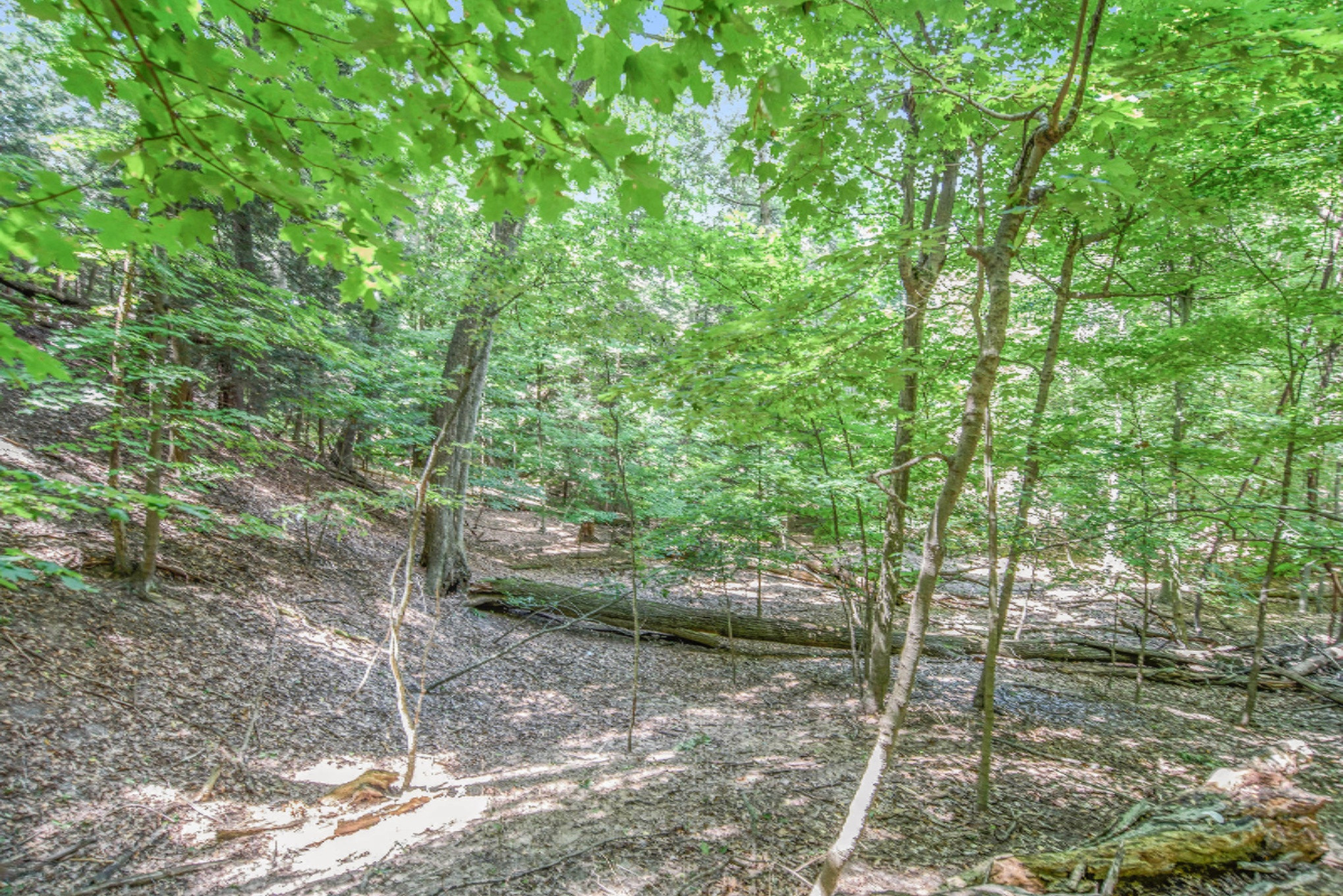 15054 Stickney Ridge Road Grand Haven, MI 49417 - Photo 19 of 47 DSC_3378