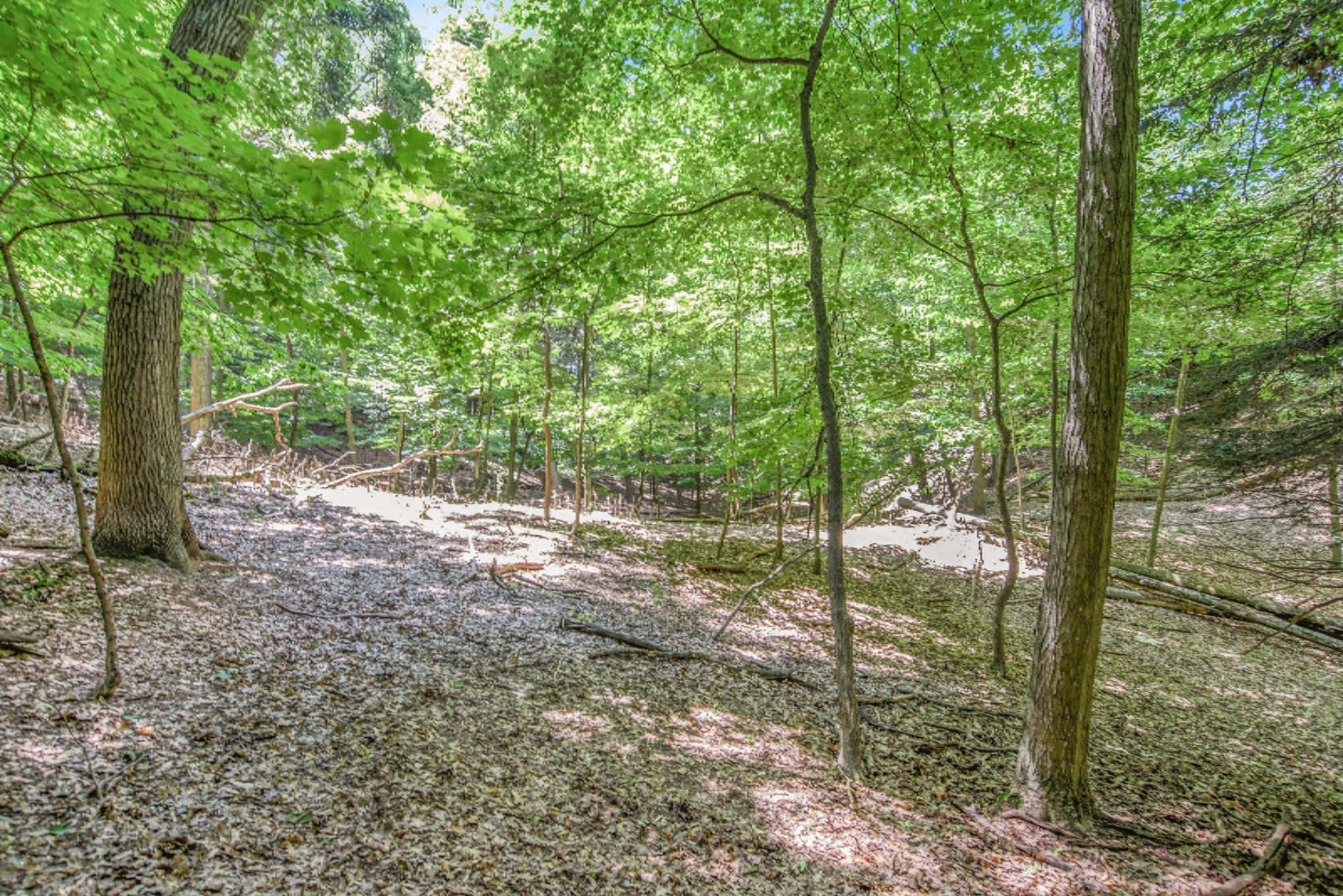 15054 Stickney Ridge Road Grand Haven, MI 49417 - Photo 20 of 47 DSC_3379