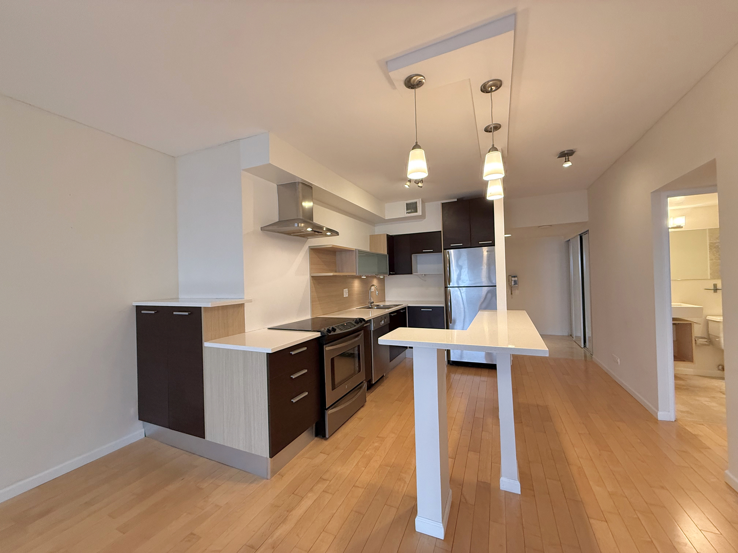 175 East Delaware Place, Unit 5618 Chicago, IL 60611 - Photo 10 of 20