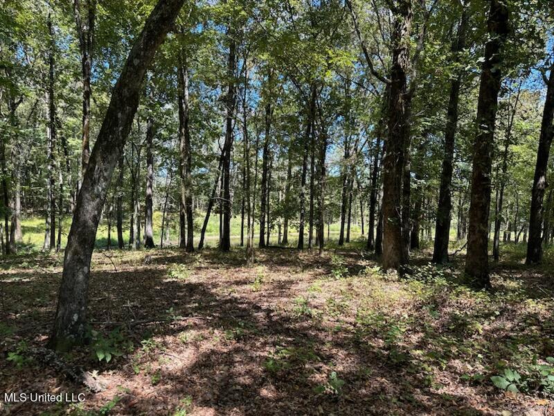 1885 Hunter Chapel Road Como, MS 38619 - Photo 3 of 4 0 compress rd 4