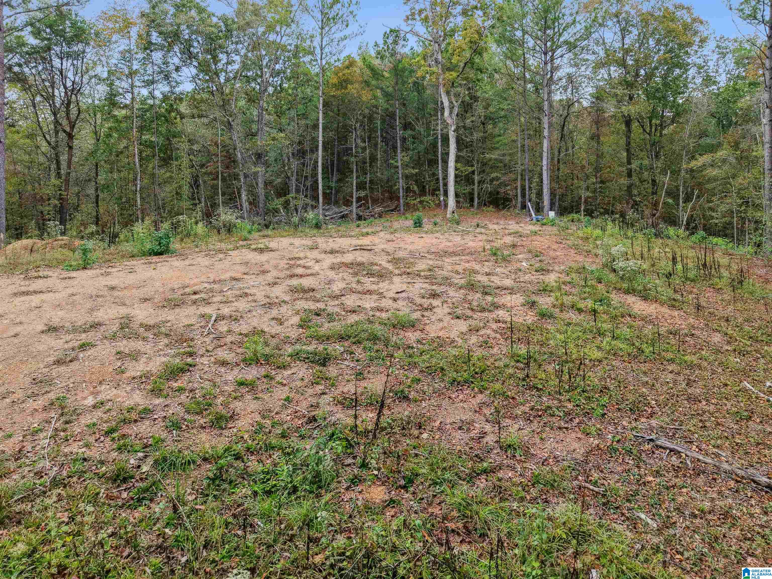 1215 Buddy Vines Camp Road Bessemer, AL 35023 - Photo 11 of 25
