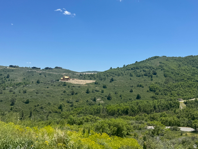 6000 Old Snow Basin Road Huntsville, UT 84317 - Photo 4 of 14
