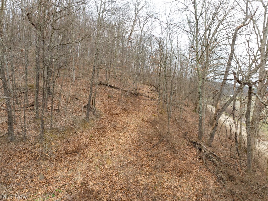Sarchets Run Road Cambridge, OH 43725 - Photo 13 of 20