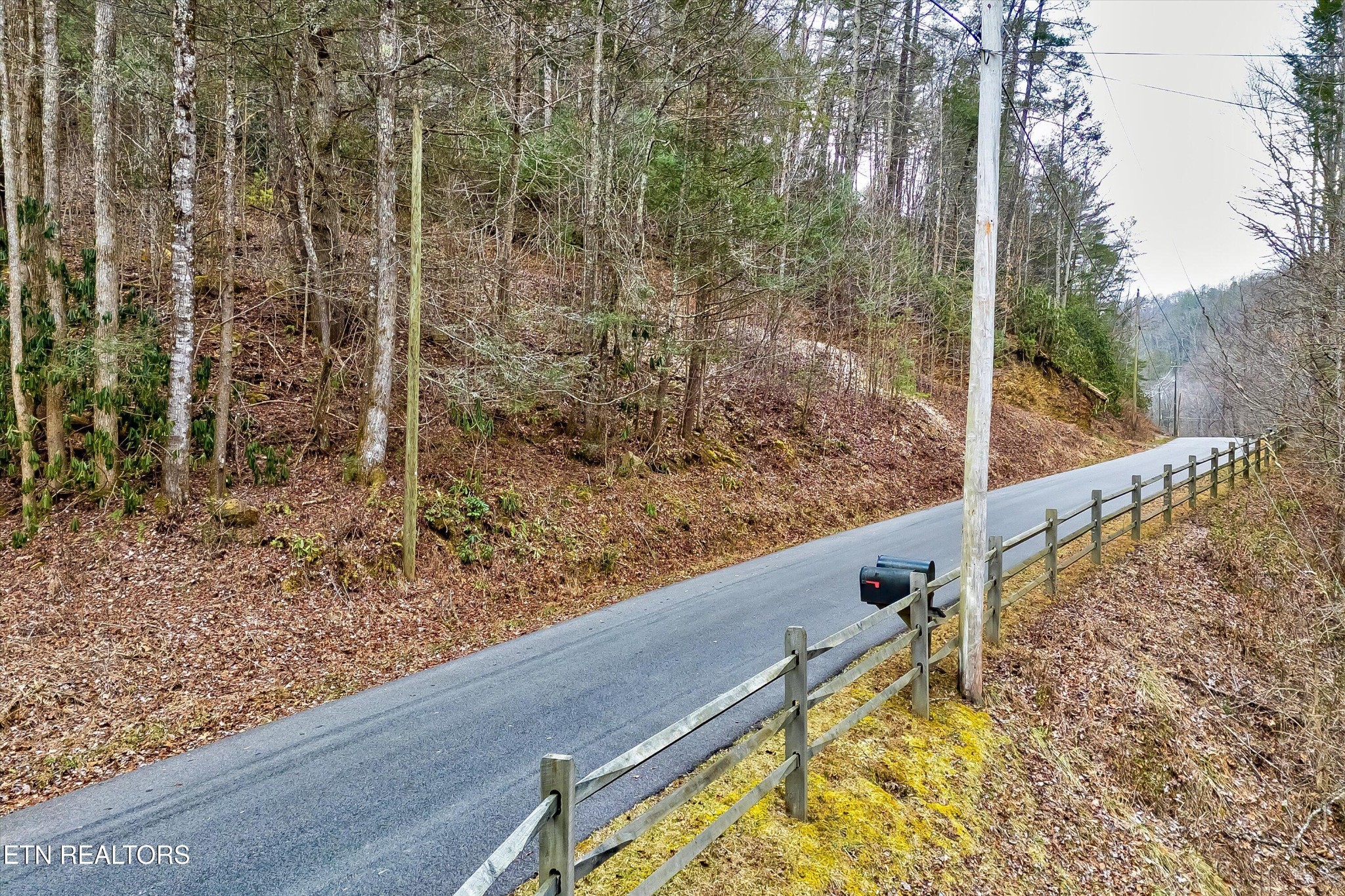 0 South Clear Frk Road Sevierville, TN 37862 - Photo 8 of 30 Gallery Image 8