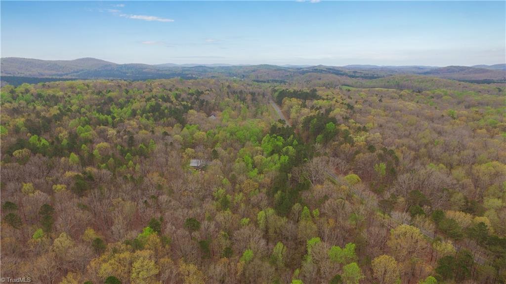 7329 Lassiter Mill Road Asheboro, NC 27205 - Photo 47 of 50 Gallery Image 47