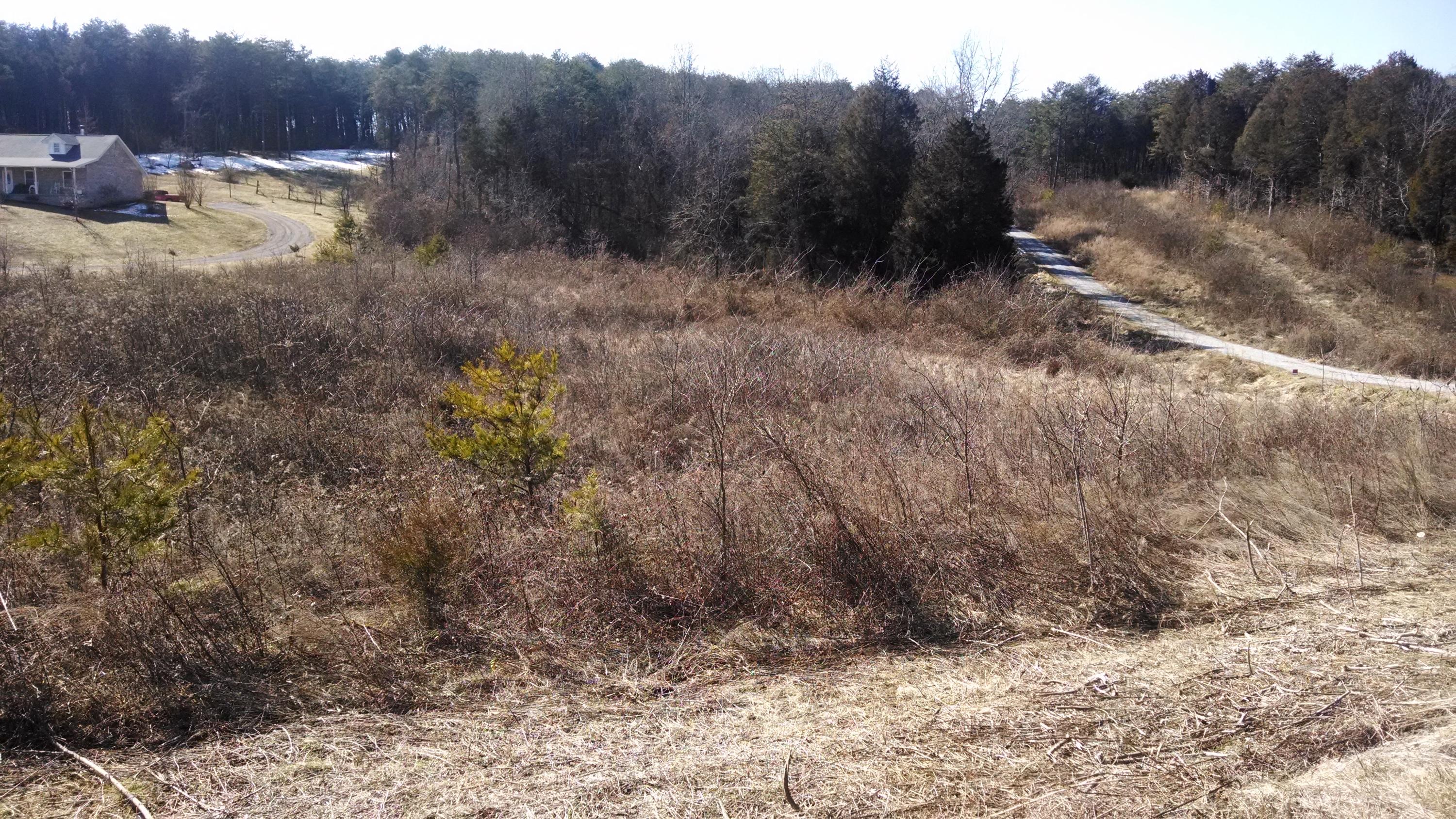 Lot 4 Barber Road Strawberry Plains, TN 37871 - Photo 1 of 1 IMG_20140216_135351018