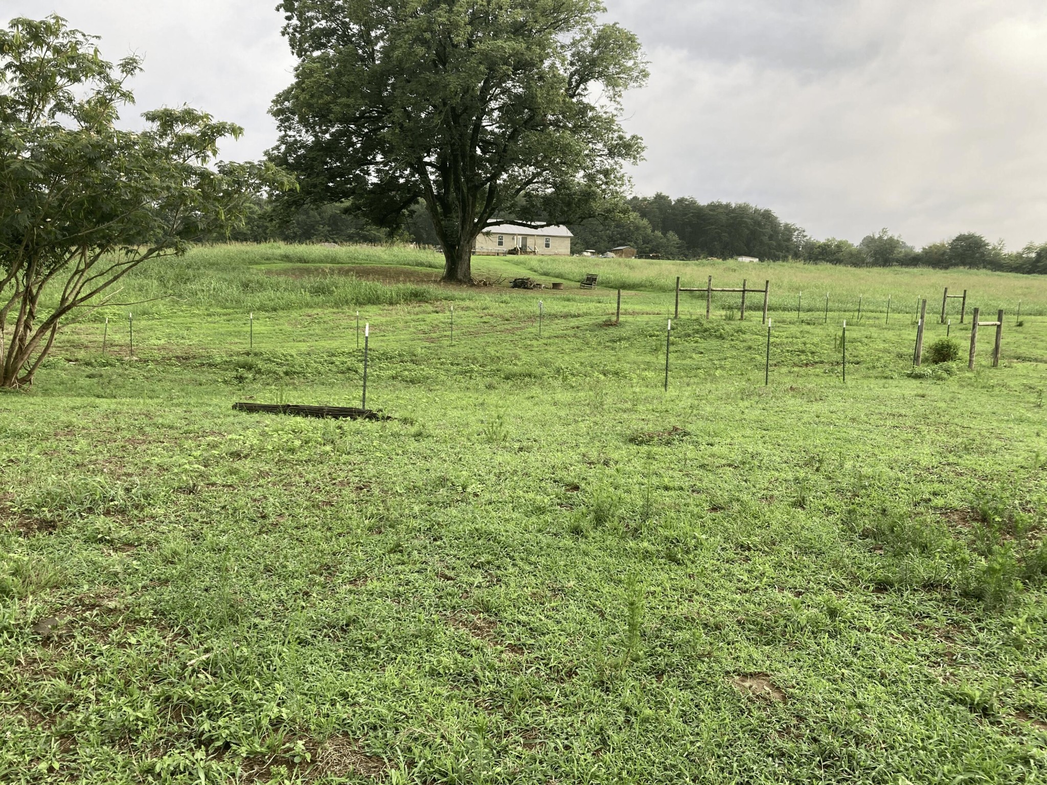 0 Swan Road Old Fort, TN 37362 - Photo 6 of 20