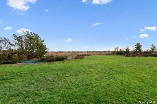a view of grassy field with mountain