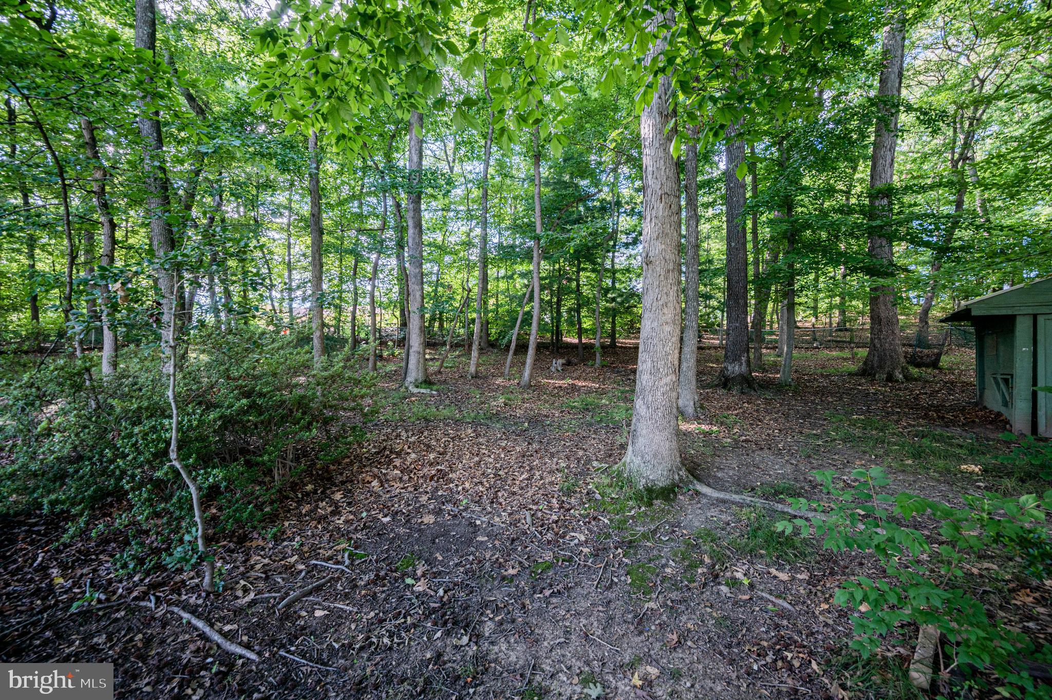 8816 Churchfield Lane Laurel, MD 20708 - Photo 38 of 45