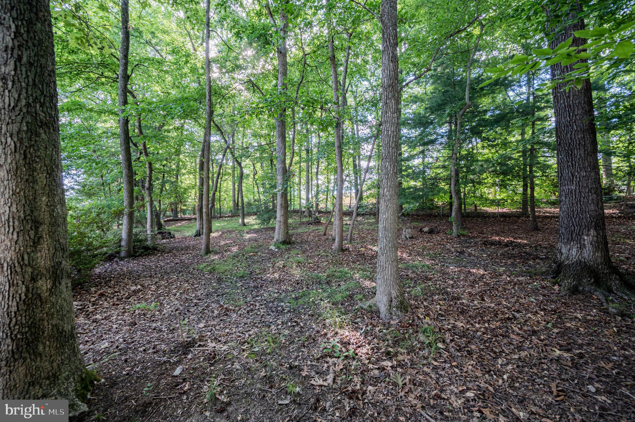 8816 Churchfield Lane Laurel, MD 20708 - Photo 40 of 45