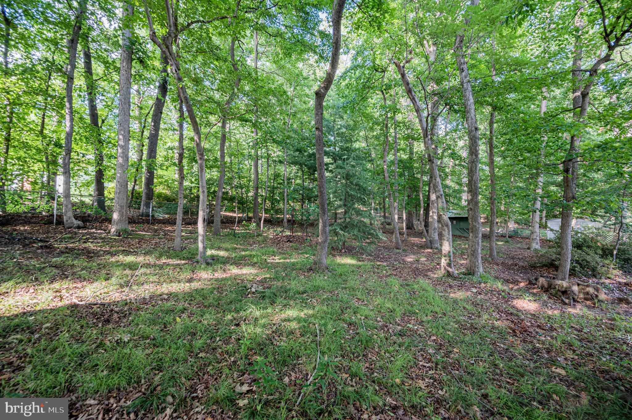 8816 Churchfield Lane Laurel, MD 20708 - Photo 41 of 45