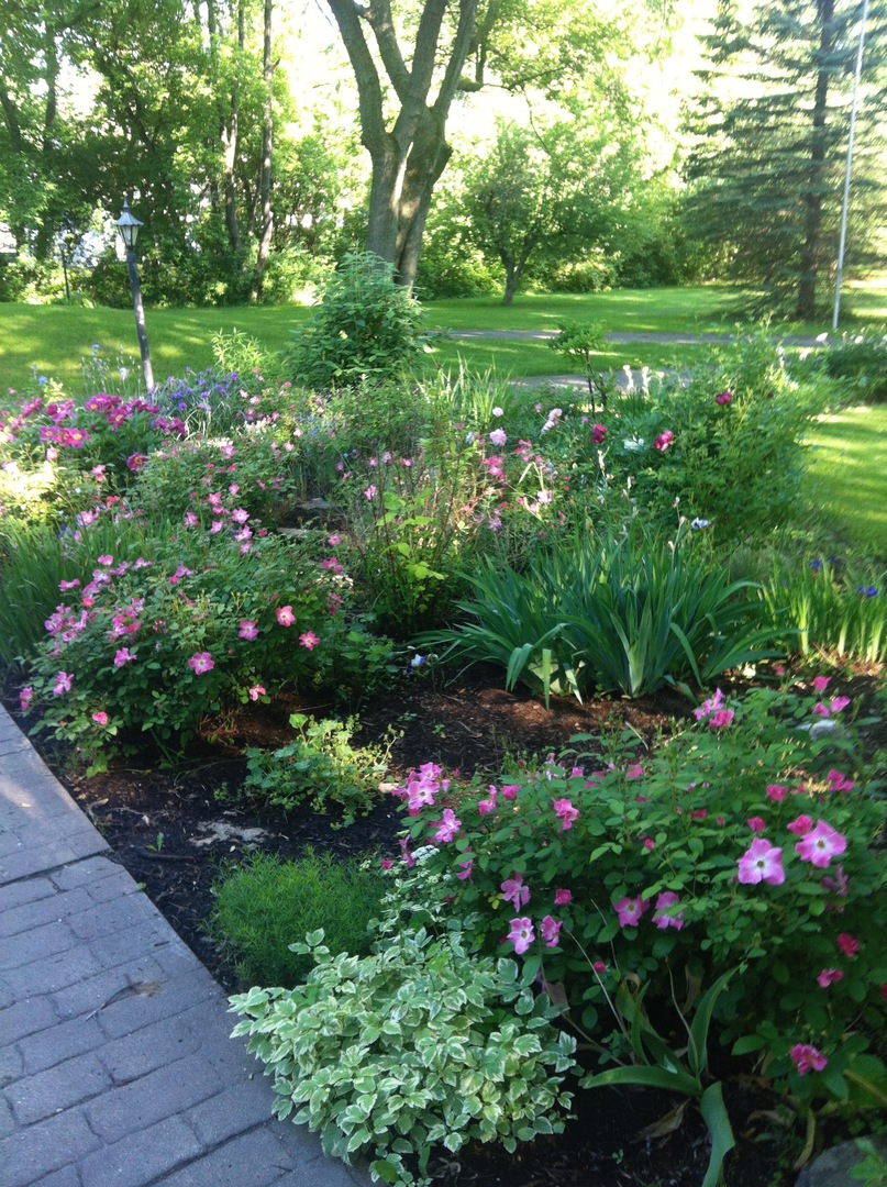 1719 Spring Creek Road Barrington Hills, IL 60010 - Photo 26 of 26 a view of a garden with plants and large trees