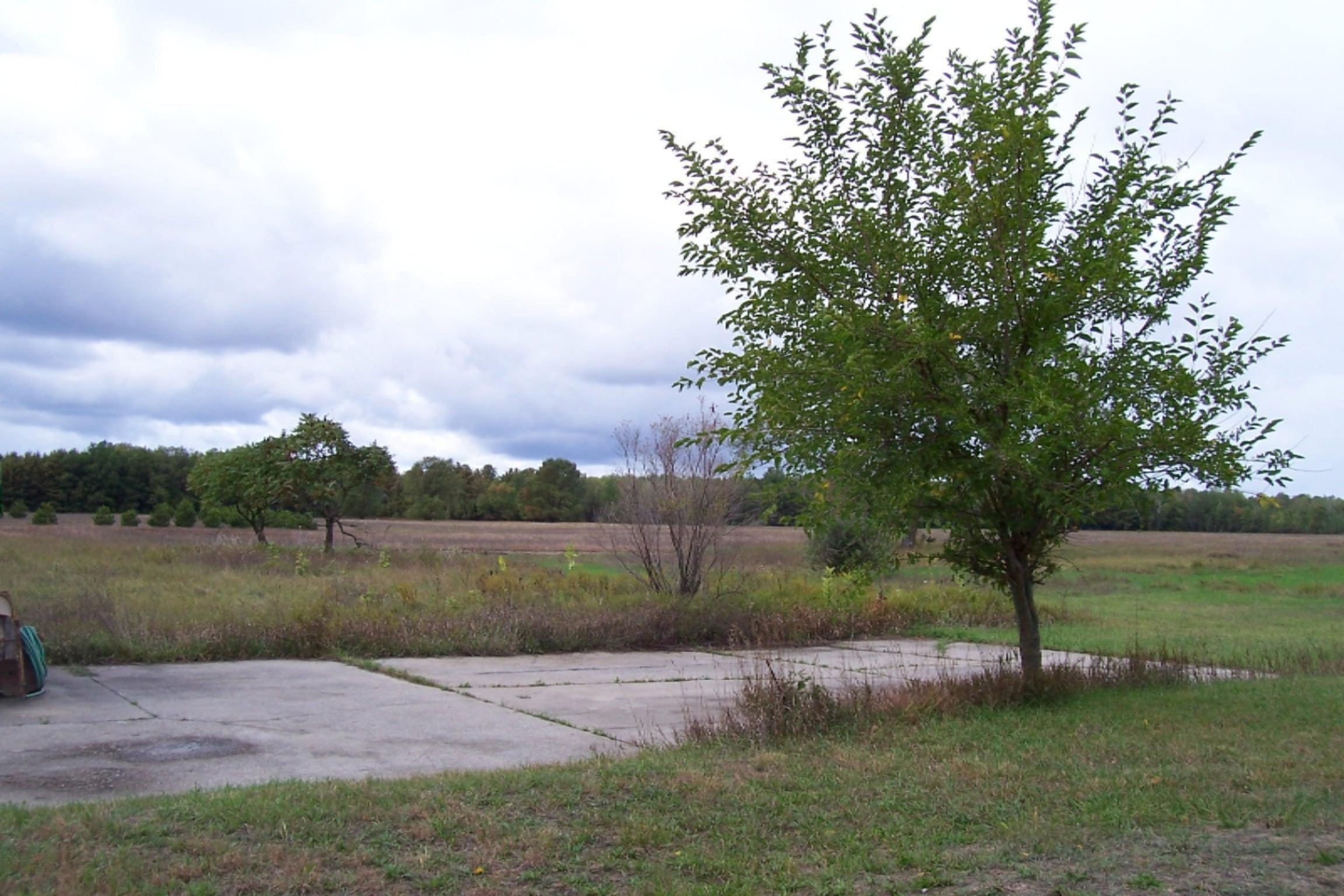 10182 Yates Road Kaleva, MI 49645 - Photo 5 of 15 100_1807
