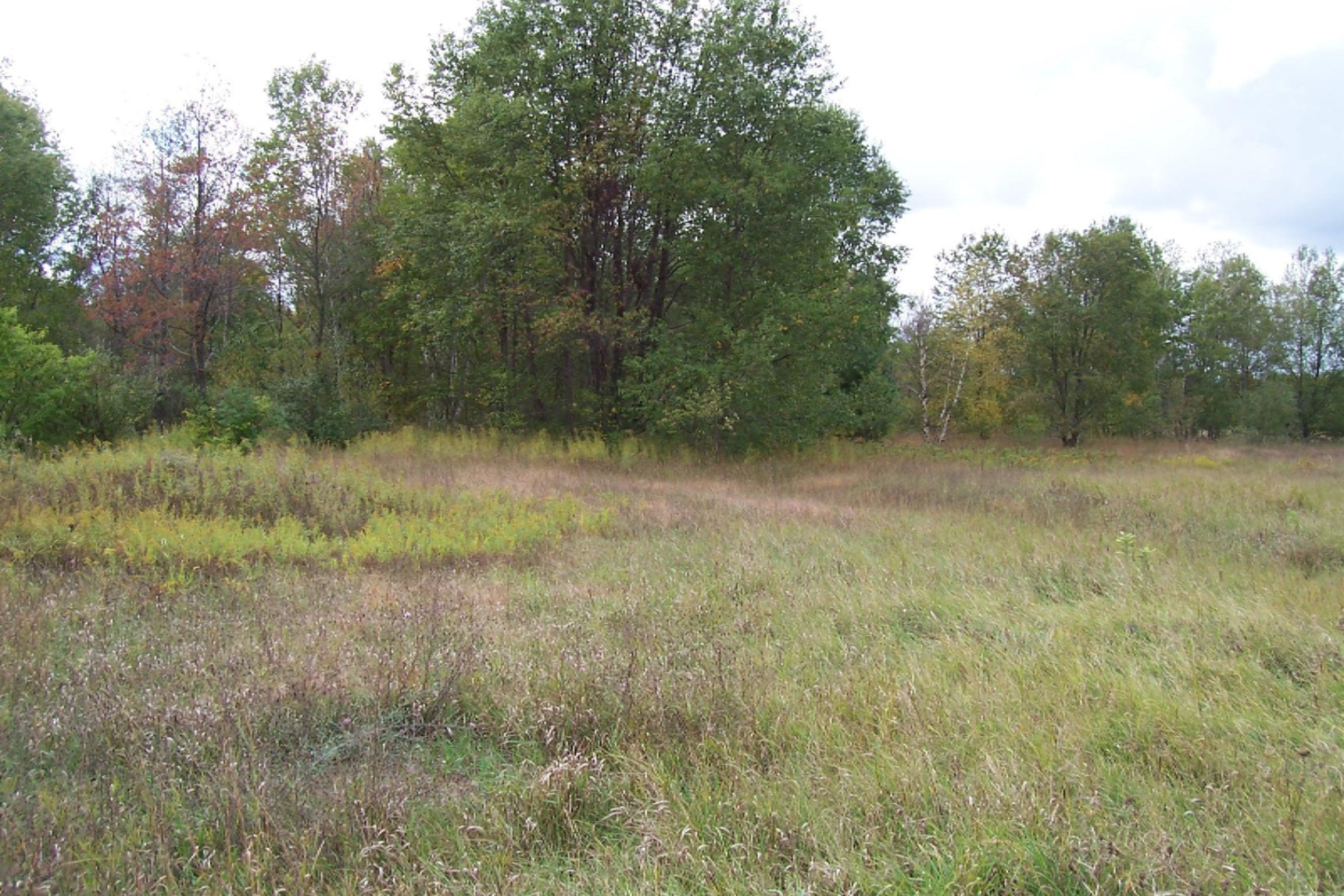10182 Yates Road Kaleva, MI 49645 - Photo 7 of 15 100_1809