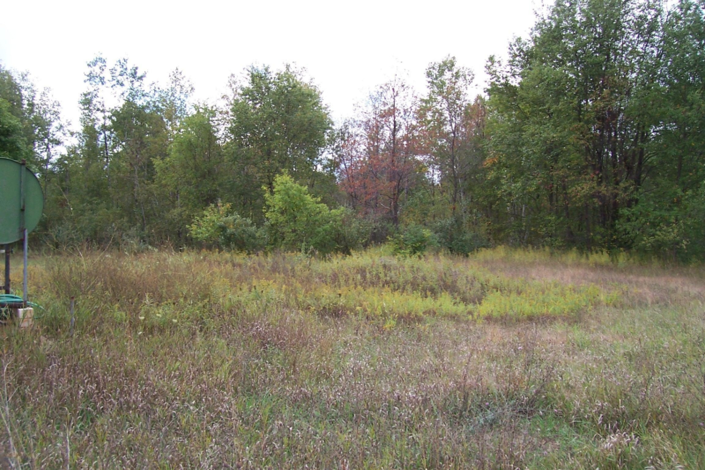 10182 Yates Road Kaleva, MI 49645 - Photo 8 of 15 100_1810