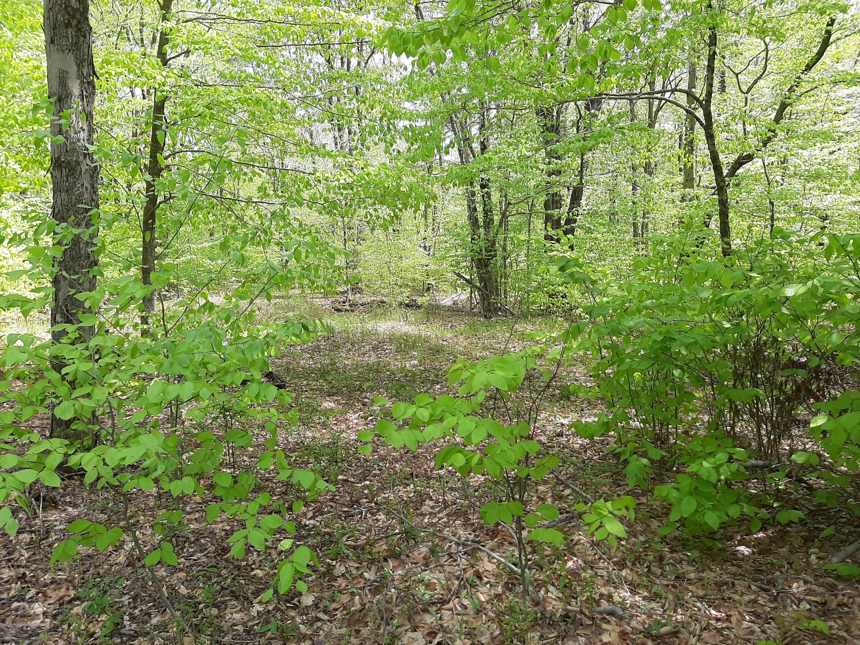 Ross Hill Road Union Dale, PA 18470 - Photo 1 of 3 20200524_144215