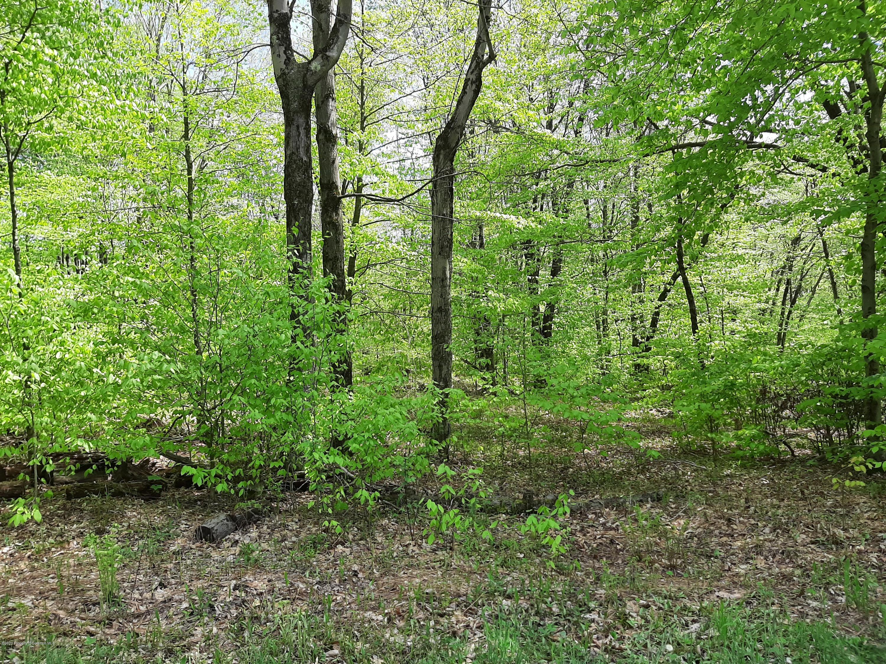 Ross Hill Road Union Dale, PA 18470 - Photo 2 of 3 20200524_144314