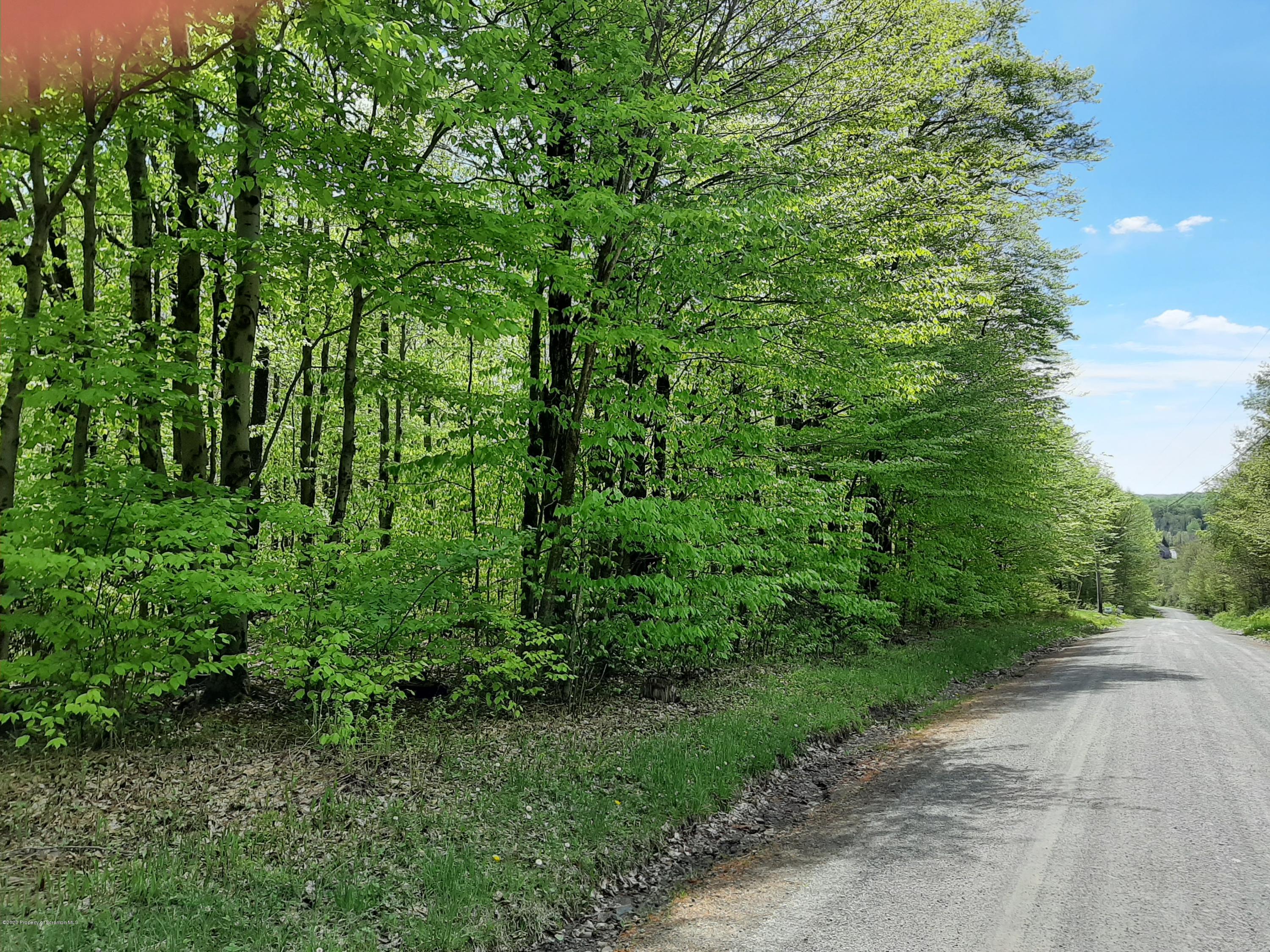 Ross Hill Road Union Dale, PA 18470 - Photo 3 of 3 20200524_144255
