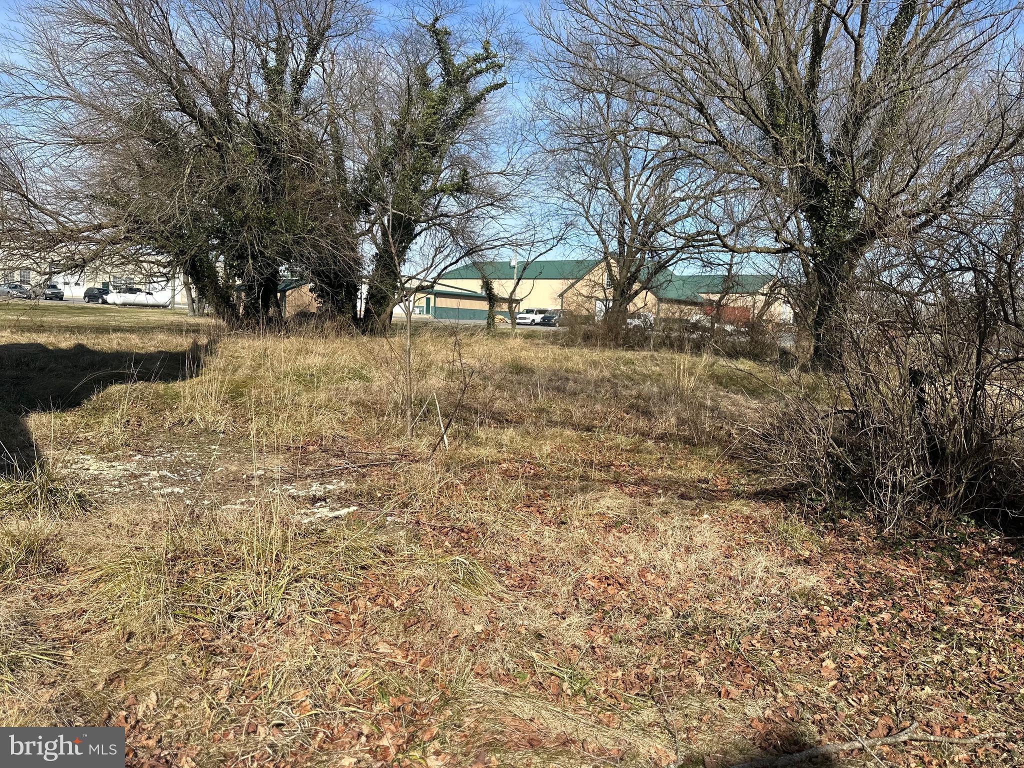 24872 Meeting House Road Denton, MD 21629 - Photo 11 of 73 back yard