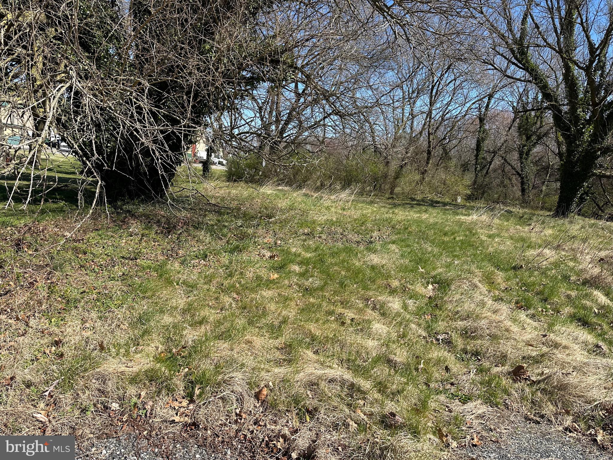 24872 Meeting House Road Denton, MD 21629 - Photo 16 of 73 a view of backyard with green space