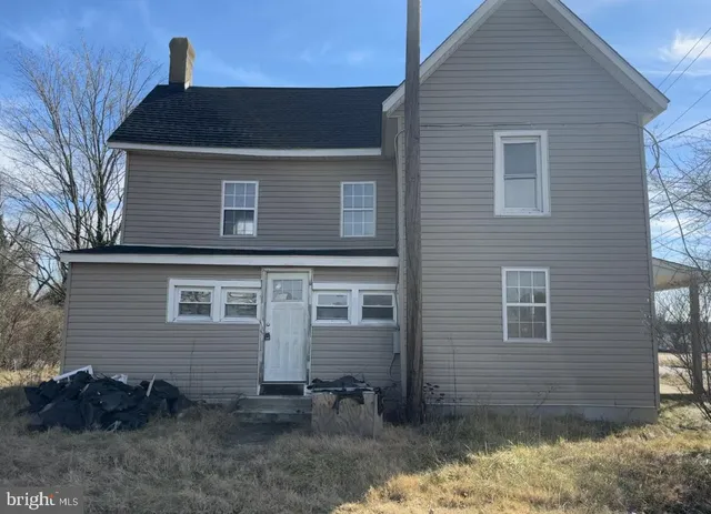 a view of a yard with plants and trees
