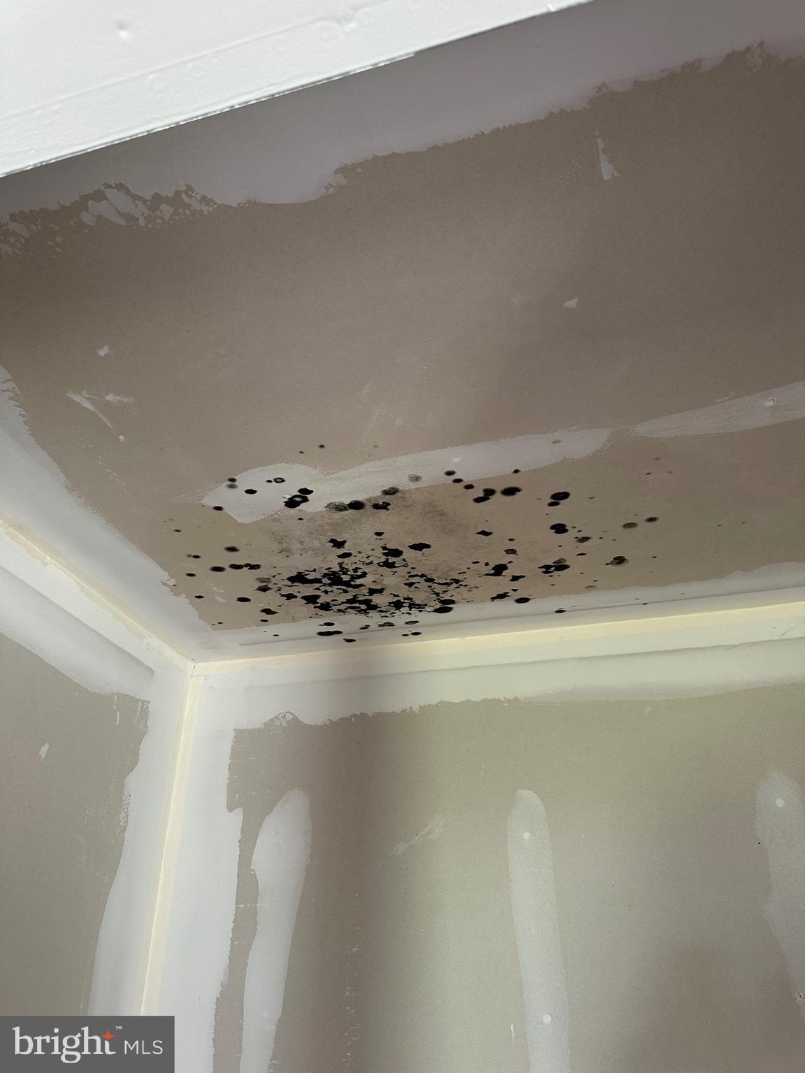 24872 Meeting House Road Denton, MD 21629 - Photo 40 of 73