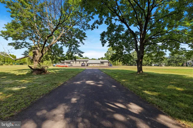a view of a park with large trees