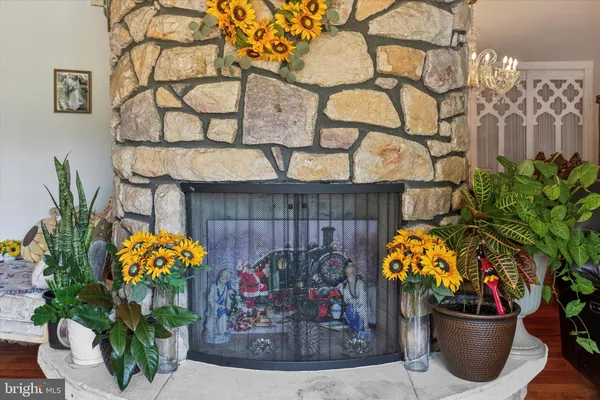 a view of a fruit pot