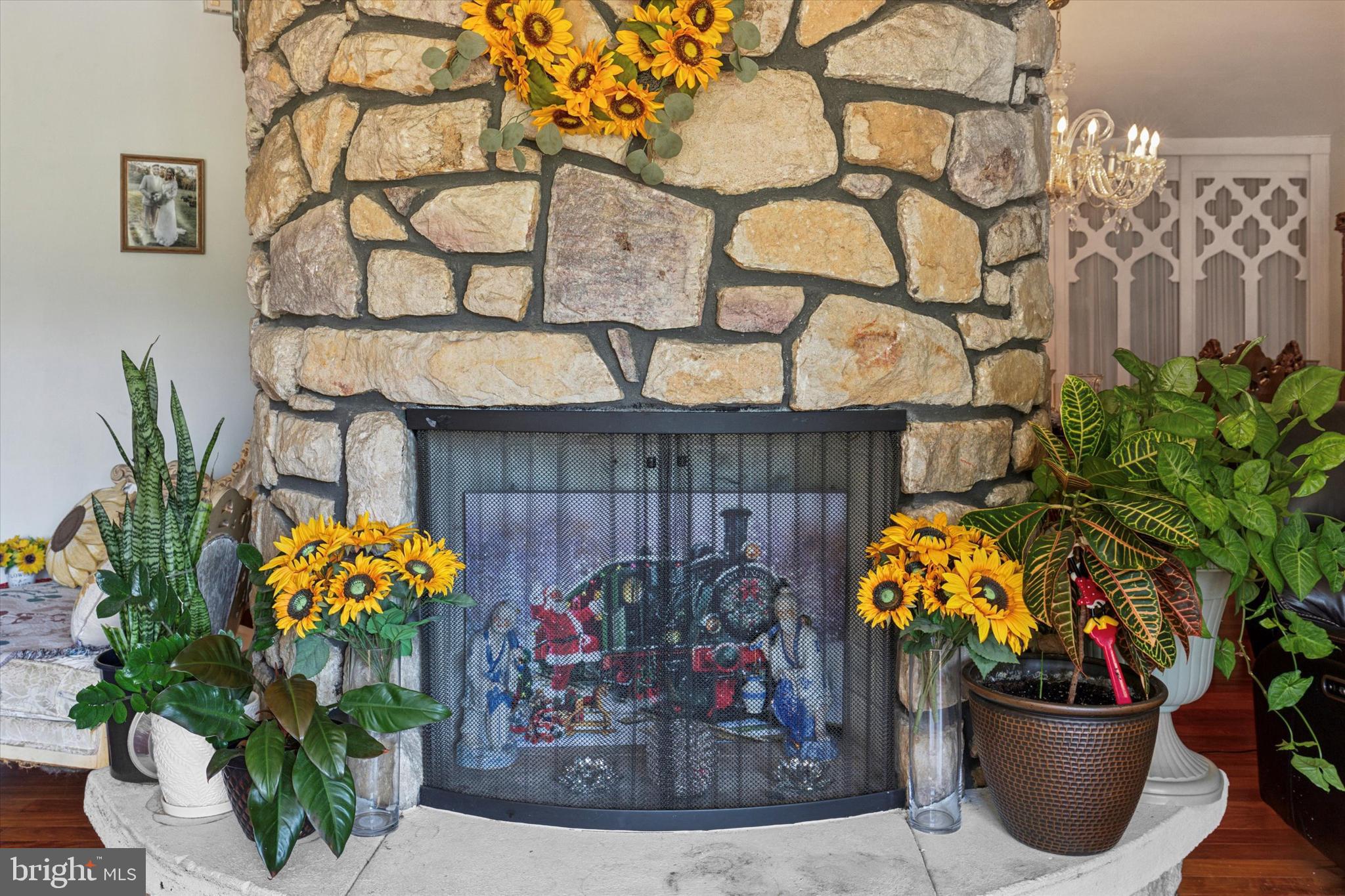 290 Hatboro Road Ivyland, PA 18974 - Photo 7 of 45 a view of a fruit pot