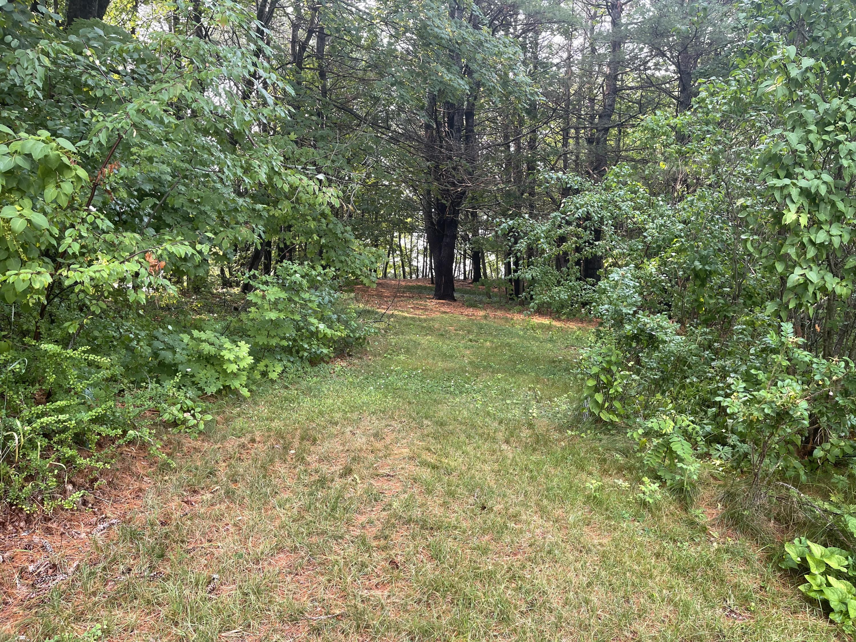 1370 State Street Bangor, ME 04401 - Photo 40 of 43 IMG_0926