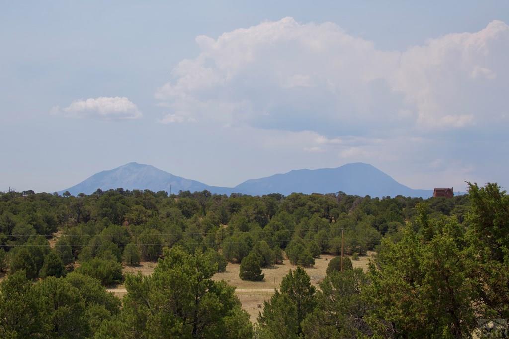 Unit #4 Unit Road Walsenburg, CO 81089 - Photo 16 of 36