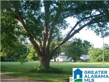 303 10th Street Clanton, AL 35045 - Photo 29 of 29