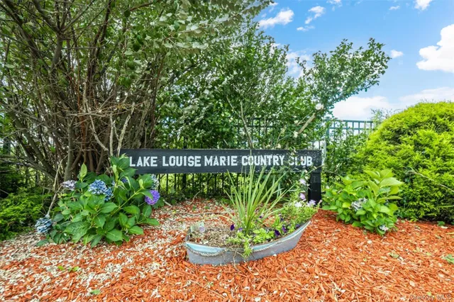a view of a backyard with plants