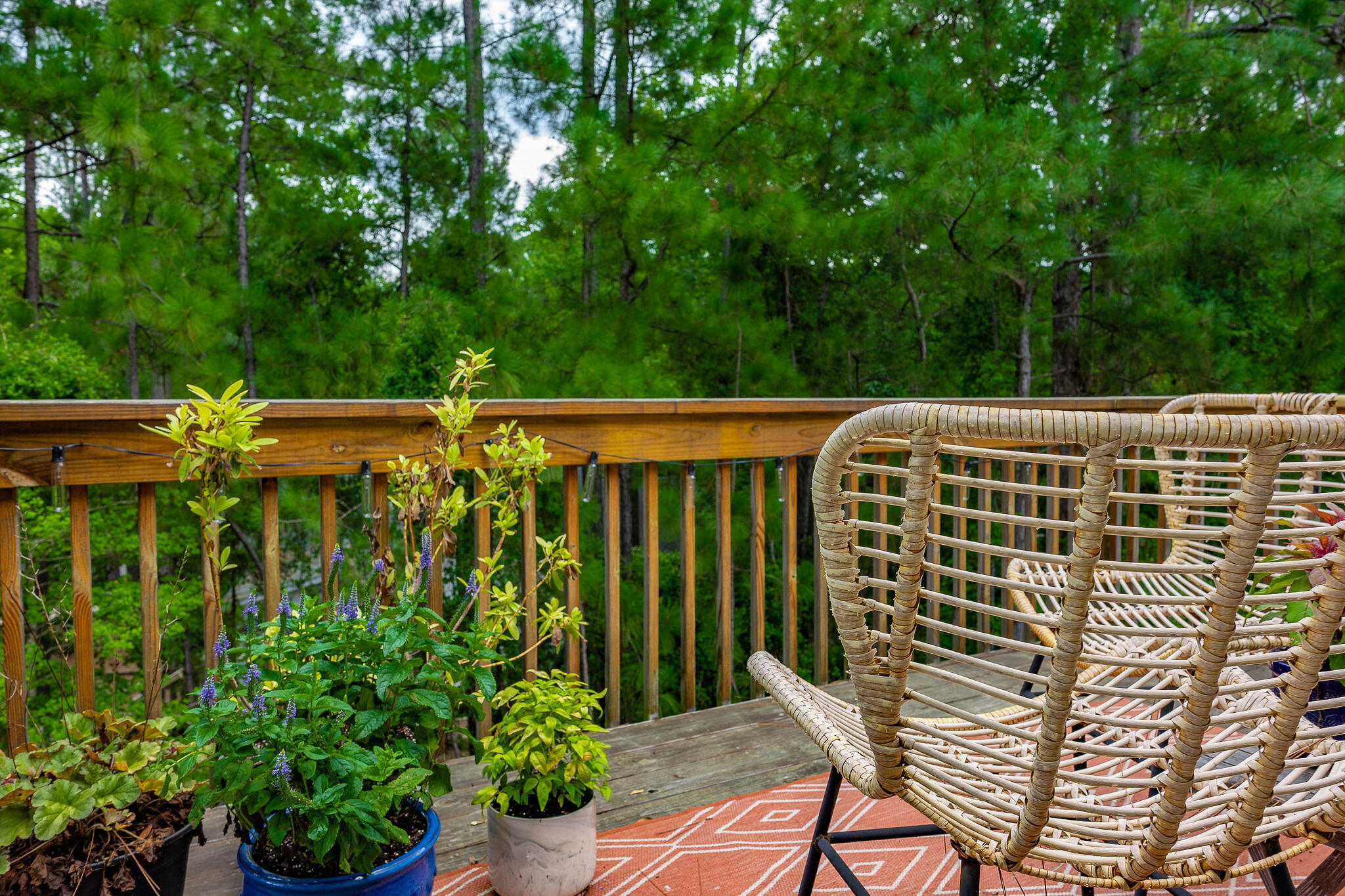 4355 Murdocksville Road Pinehurst, NC 28374 - Photo 35 of 42 4355 Murdocksville-10