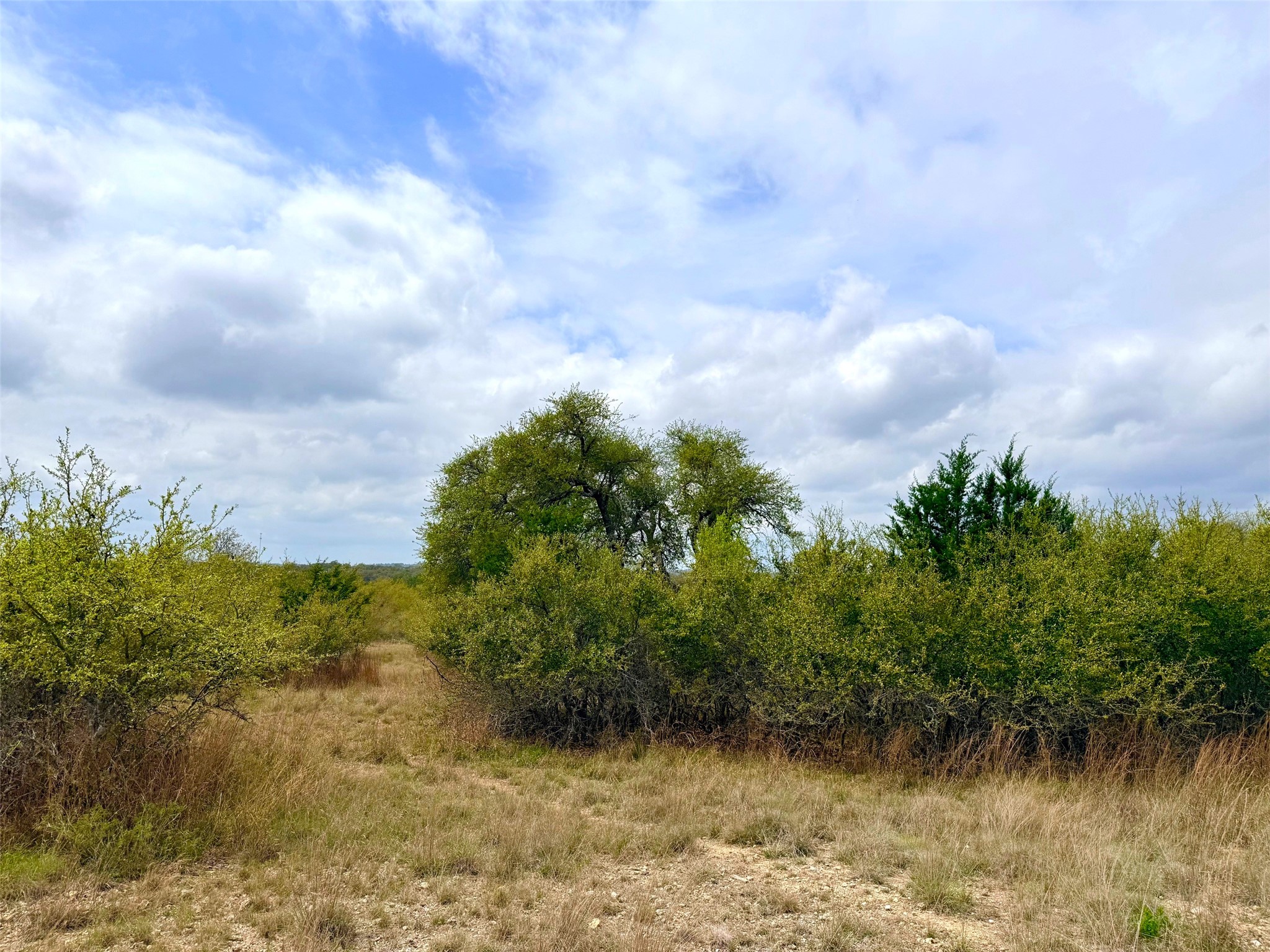 103 Ira Long Blanco, TX 78606 - Photo 6 of 12