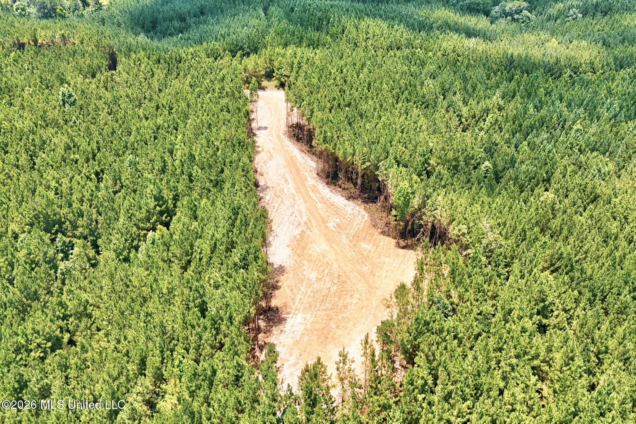 Northwest Ben Briggs Road Northwest Roxie, MS 39661 - Photo 11 of 17 DJI_20260610134113_0079_D_80_D_81_D-2