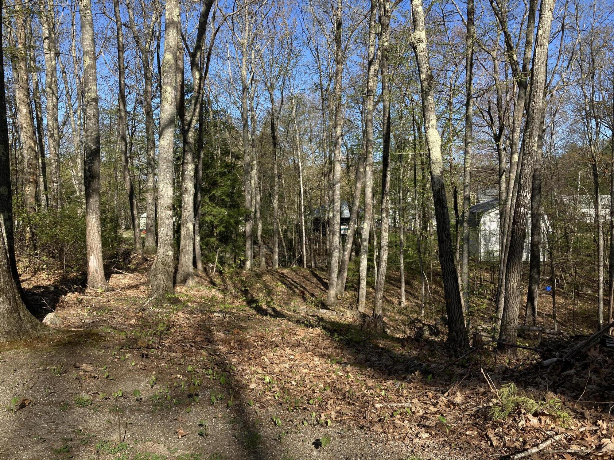 5 Outlet Road Chelsea, ME 04330 - Photo 13 of 29 2023-05-08_08-21-58-0400