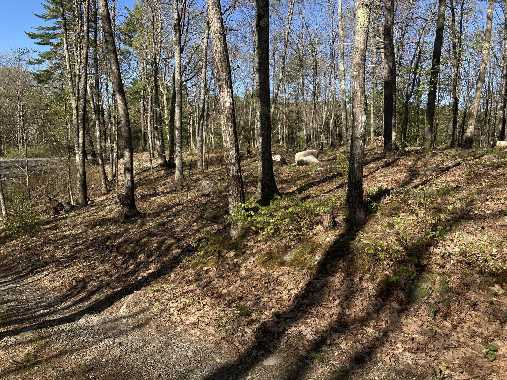 5 Outlet Road Chelsea, ME 04330 - Photo 16 of 29 2023-05-08_08-20-33-0400