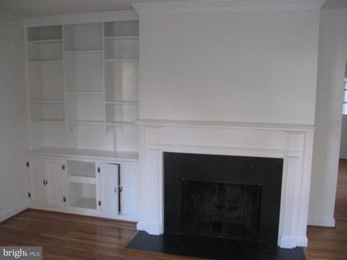 1704 Myrtle Road Silver Spring, MD 20902 - Photo 28 of 30 Fireplace